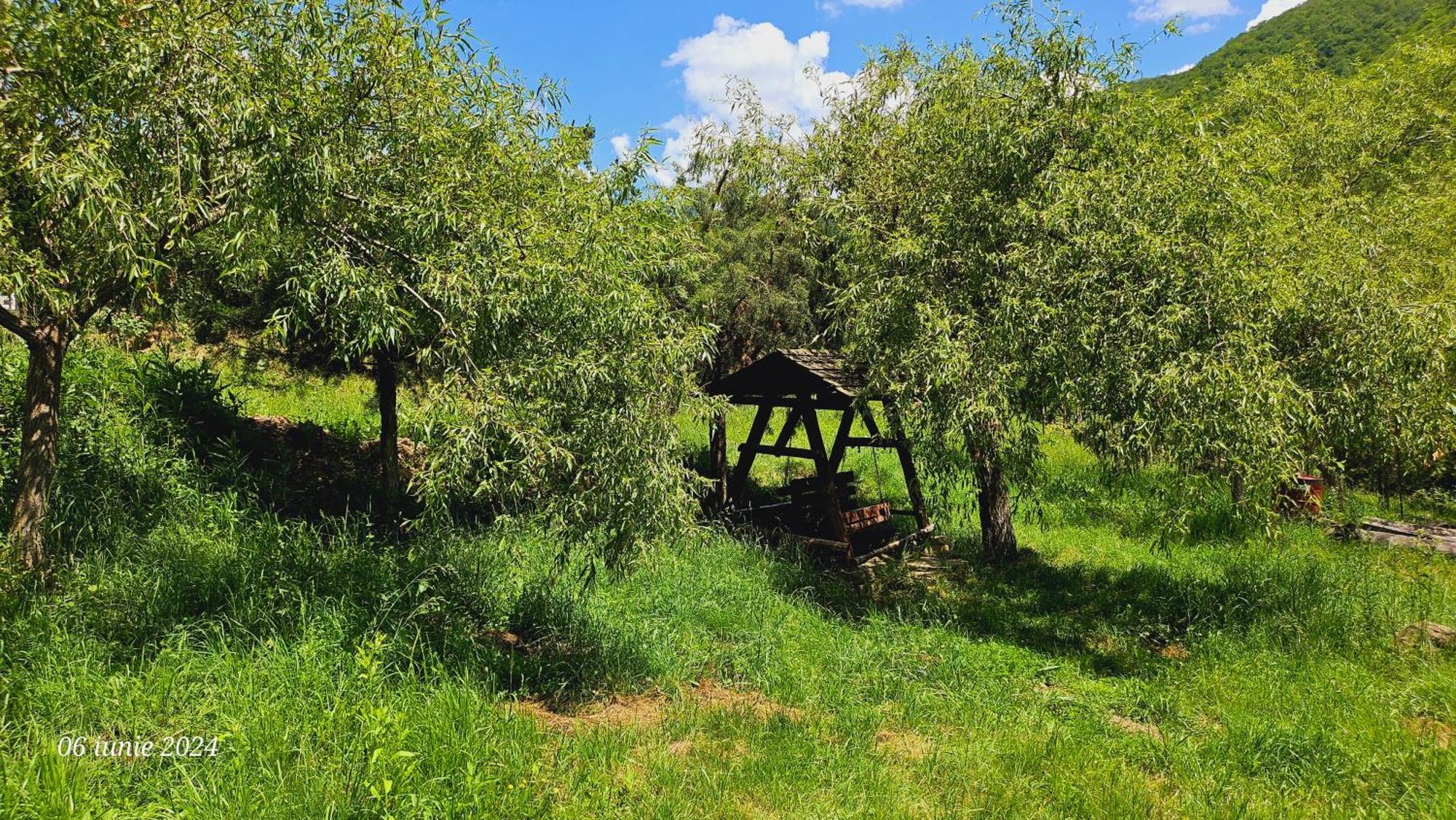 Pensiunea Izvorul Bucuriei Siriu Exterior foto